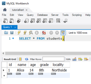 SQL INSERT Statement - Syntax and Examples [4]
