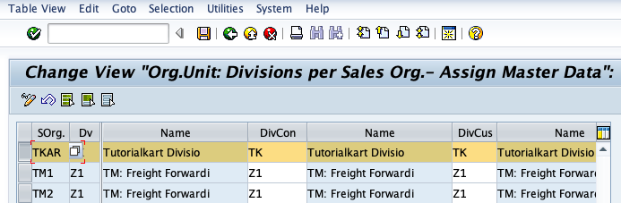 Defining Common Divisions in SAP SD