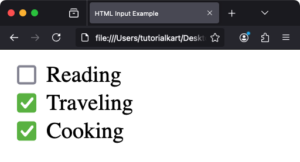 HTML Input Checkbox