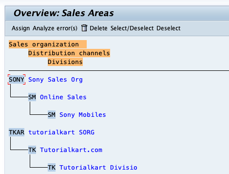 Advanced Guide to Distribution Channel in SAP