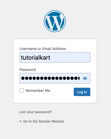 Log In to Your WordPress Admin Dashboard