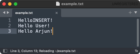 How to Write at a Specific Position in a File in Python