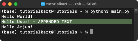 How to Write at a Specific Position in a File in Python