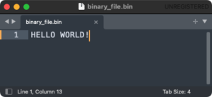How to Open a File in Binary Mode in Python